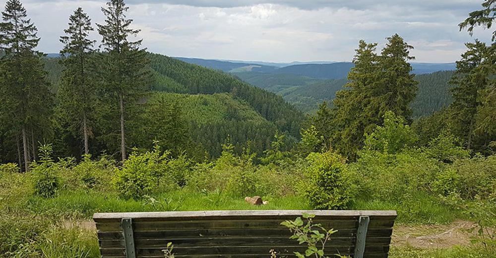 Ferienhaus Astenblick - Ideal Fuer Weihnachtsfeiern Und Familienfeiern Bietet Schlafplaetze Fuer Bis Zu 35 Personen Villa Winterberg Kültér fotó